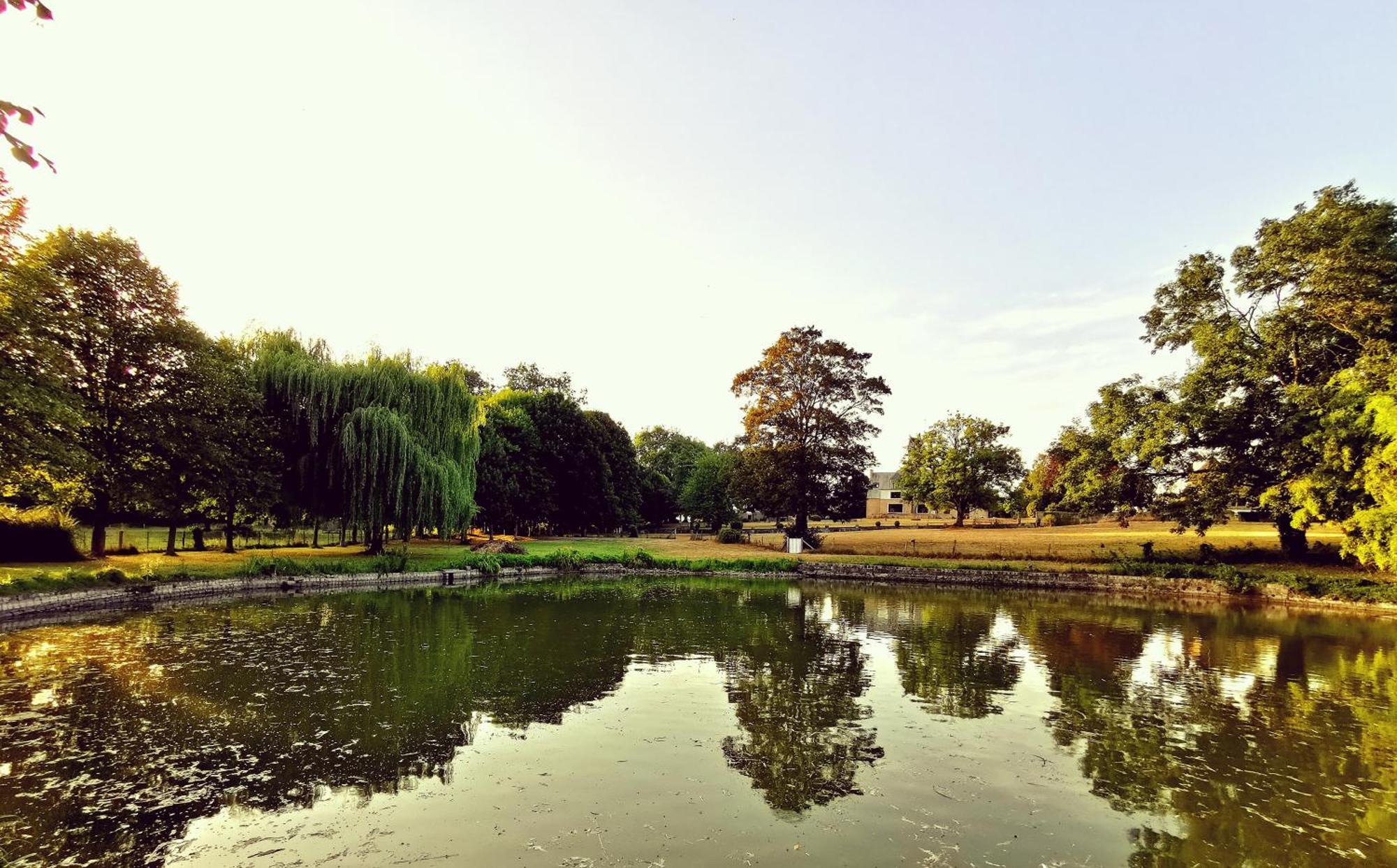 Domaine De L'Isle Maniere Lejlighed Saint-Quentin-sur-le-Homme Eksteriør billede