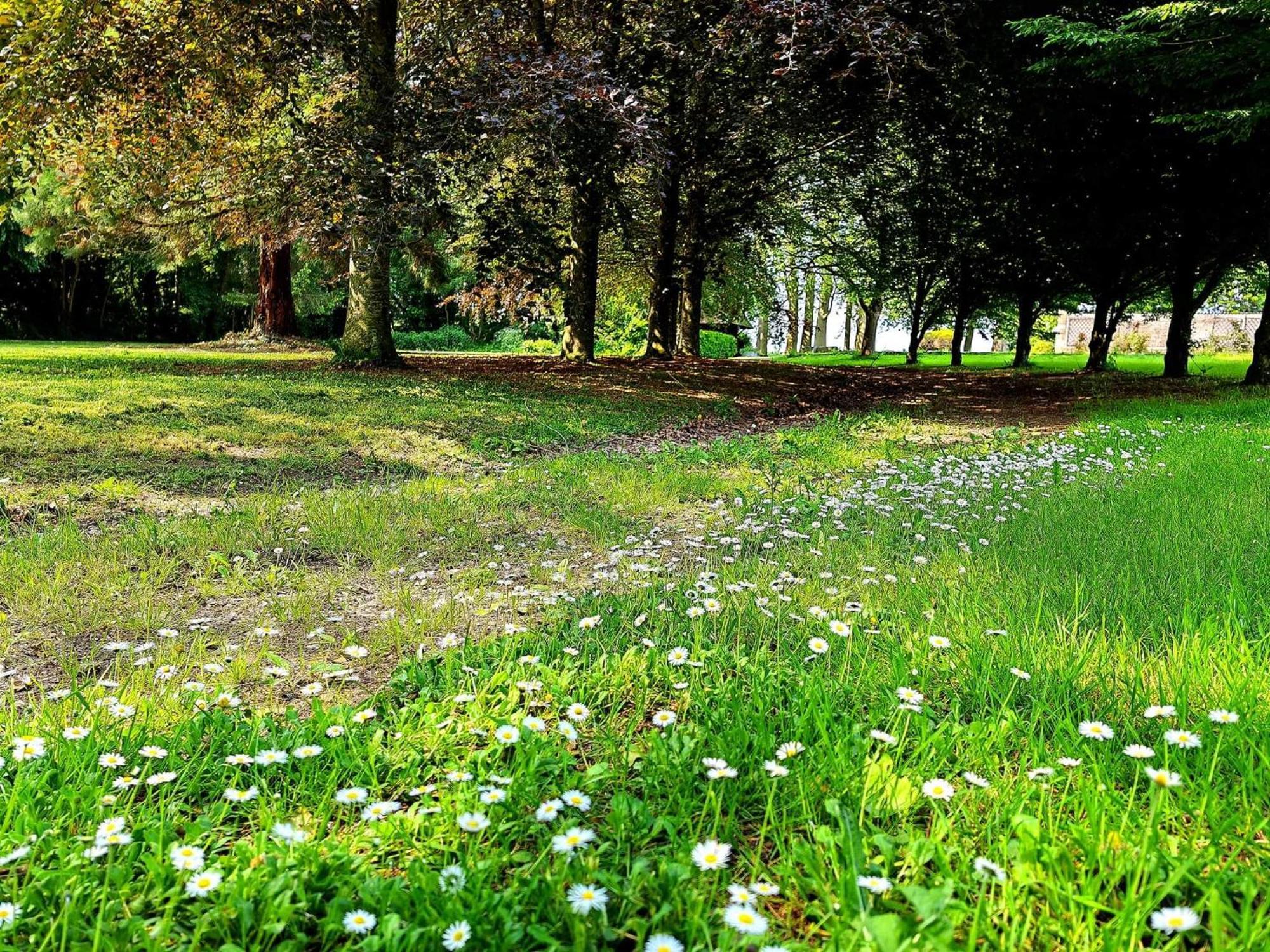 Domaine De L'Isle Maniere Lejlighed Saint-Quentin-sur-le-Homme Eksteriør billede